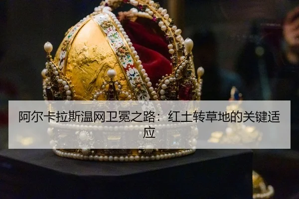 a-er-ka-la-si-wen-wang-wei-mian-zhi-lu-hong-tu-zhuan-cao-di-de-guan-jian-shi-ying-3-584.jpg