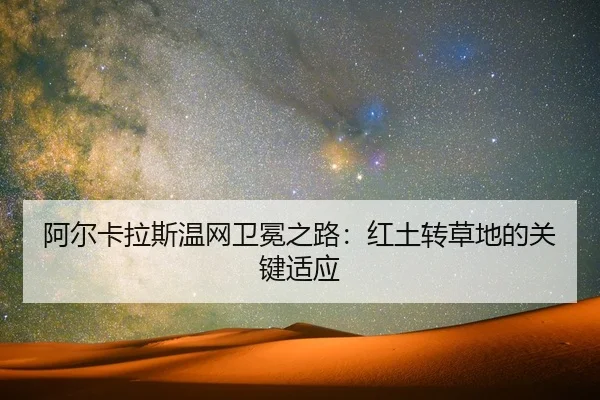 阿尔卡拉斯温网卫冕之路：红土转草地的关键适应