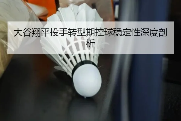 da-gu-xiang-ping-tou-shou-zhuan-xing-qi-kong-qiu-wen-ding-xing-shen-du-pou-xi-2-341.jpg