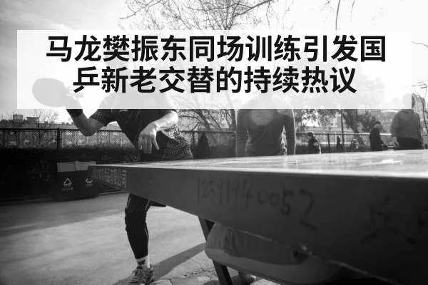 马龙樊振东同场训练引发国乒新老交替的持续热议