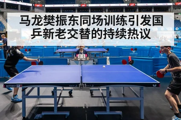 Fan Zhendong table tennis